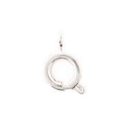 Bolt Ring 6mm Silver Findings