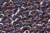 Miyuki Delica DB0173 Transparent Smoky Amethyst AB Seed Beads